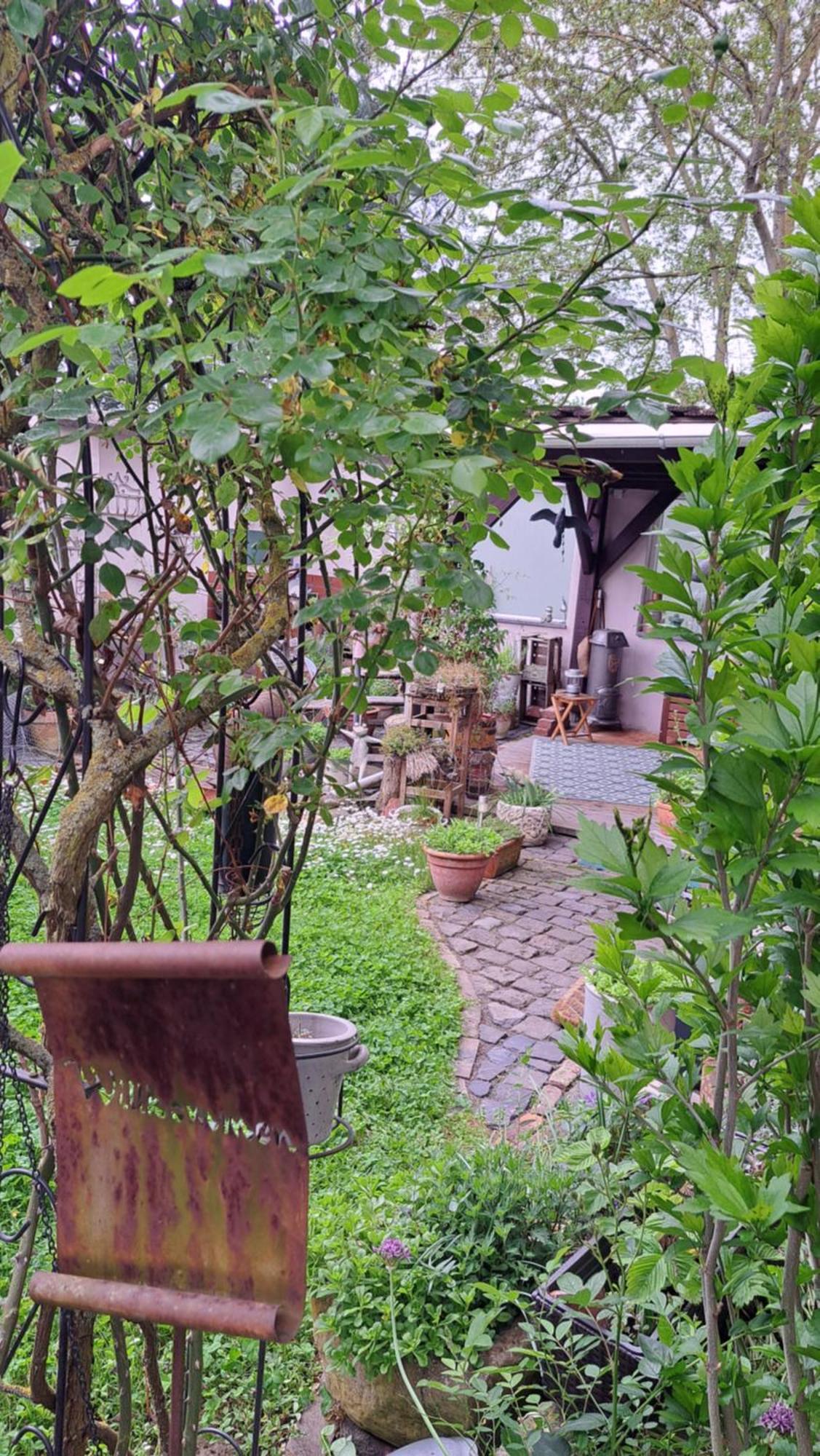 Ferienwohnung Vogt Mertloch Dış mekan fotoğraf