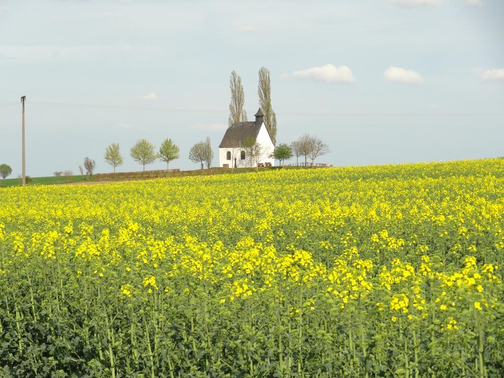 Ferienwohnung Vogt Mertloch Oda fotoğraf